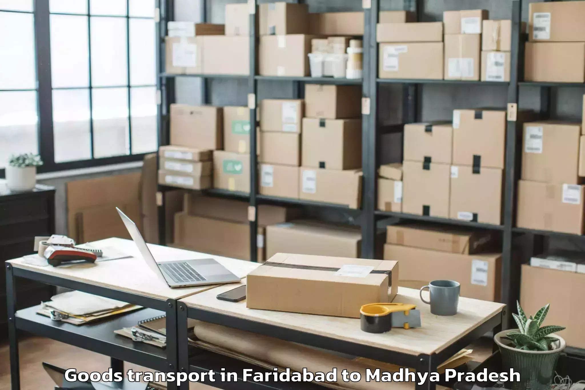 Quality Faridabad to Kutauli Goods Transport